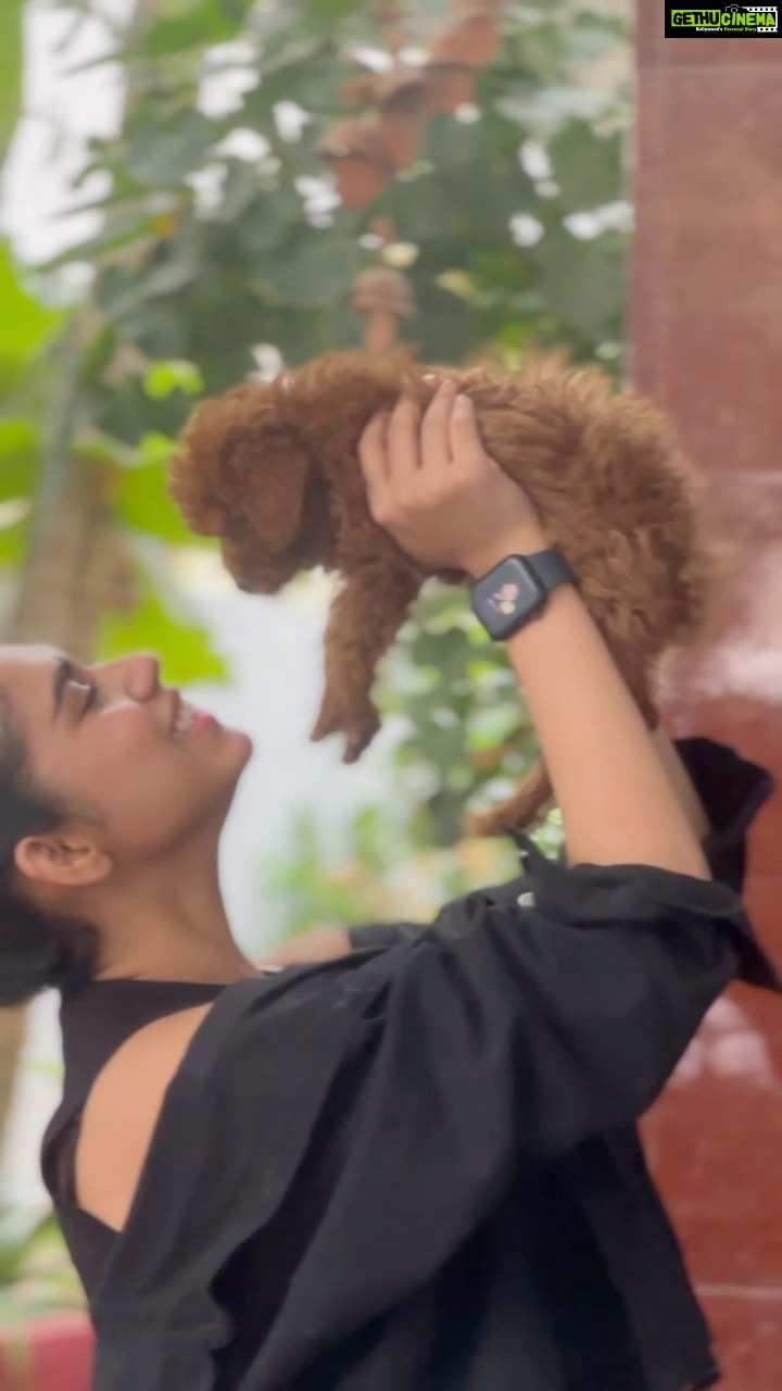 Meenakshi Govindarajan Instagram - April 🐾