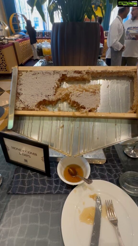 Meera Chopra Instagram - This is fresh honey coming out of real honeycomb. Thats how it looks like of you do your job well.. i saw this for the first time at @marsamalazkempinskidoha