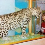 Meghana Gaonkar Instagram – 🐯Circa 2006. Nature Camp, Coorg.
~
#WorldWildLifeDay