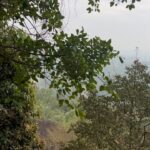 Mirnalini Ravi Instagram - Throwback to Unplanned Treks & Adventures ⛰️ Edakkal Cave