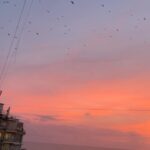 Nandita Das Instagram – The video was minutes after the first photo. The birds had to be seen flying and the horizon was magical in its hues of red. Just as you never step into the same river, you never see the same sky twice. Blessed to have a window that reminds me of that every day. We too change all the time. Only if we could pause to realise that.