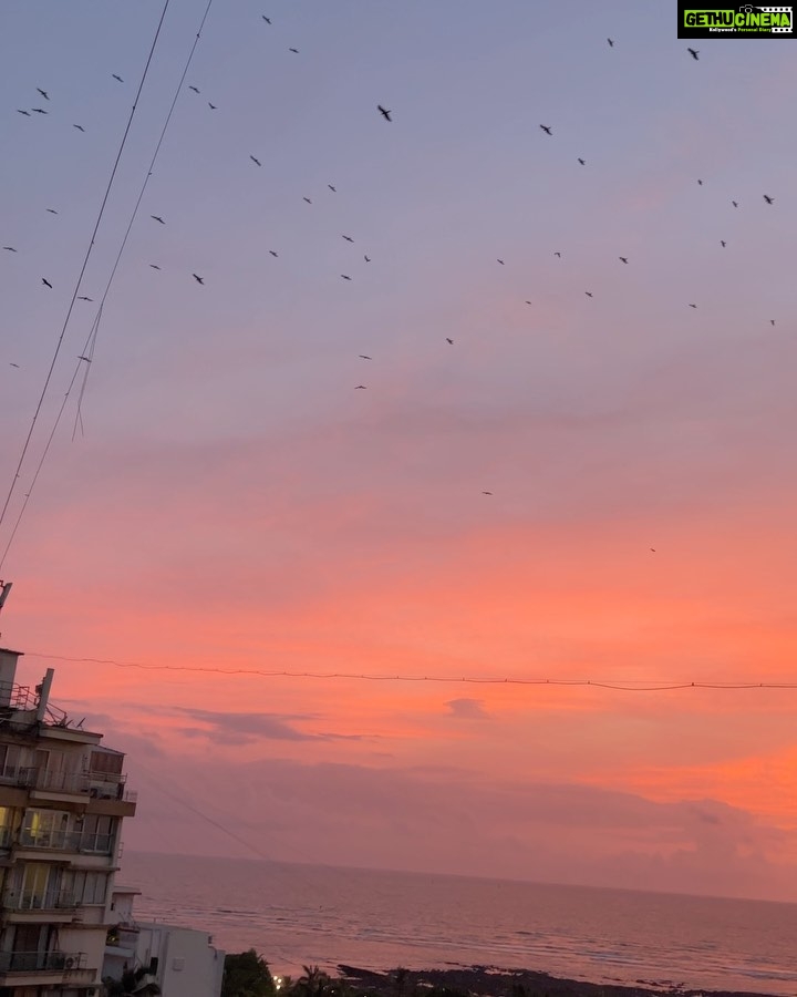 Nandita Das Instagram - The video was minutes after the first photo. The birds had to be seen flying and the horizon was magical in its hues of red. Just as you never step into the same river, you never see the same sky twice. Blessed to have a window that reminds me of that every day. We too change all the time. Only if we could pause to realise that.
