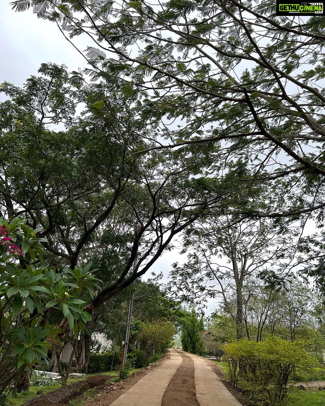 Nandita Das Instagram - My blissful time with my son. Close to nature and calm. No honking or phone beeping. Just the bird songs and the cheerful chatter of the children. Can’t show more as consent of kids and their parents is imperative if they are to be captured. Trees and flowers don’t care if they are photographed or not. No consent needed there. Or so I think. #sahyadrischool #nature