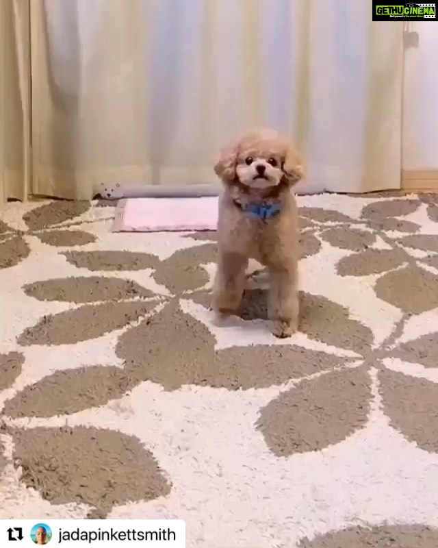 Neelam Kothari Instagram - Morning! Just had to share this ..😂😂 be happy always….. #Repost @jadapinkettsmith with @make_repost ・・・ This is bout to be my Monday flow all dayyyyyyy❣️ ❣️❣️😆 @c.chan_videos