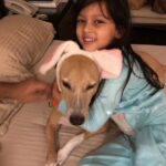 Neelam Kothari Instagram - My handsome Casper.. such an angel you were. We will miss you 💔
