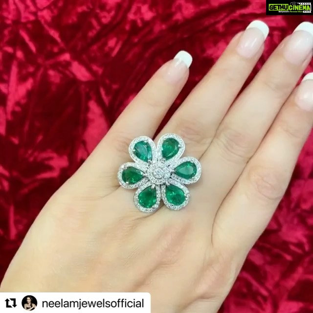 Neelam Kothari Instagram - Just love this ring @neelamjewelsofficial ❤️ ・・・ These are a few of my favourite things ❤️ #emeraldrings #neelamjewels #magnificentjewels #finejewels #finejewellery #art #design #jewels