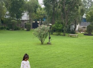 Neha Dhupia Instagram - Jus these two ♥️♥️ rolling around in the grass … and being blessed by #dada #daadi … our #simplesummer 🏠♥️ 🧿