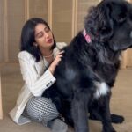 Neha Pendse Instagram - Maggi supremacy 🖤 #gentlegiant #khaleesi #theunharmed #babygirl