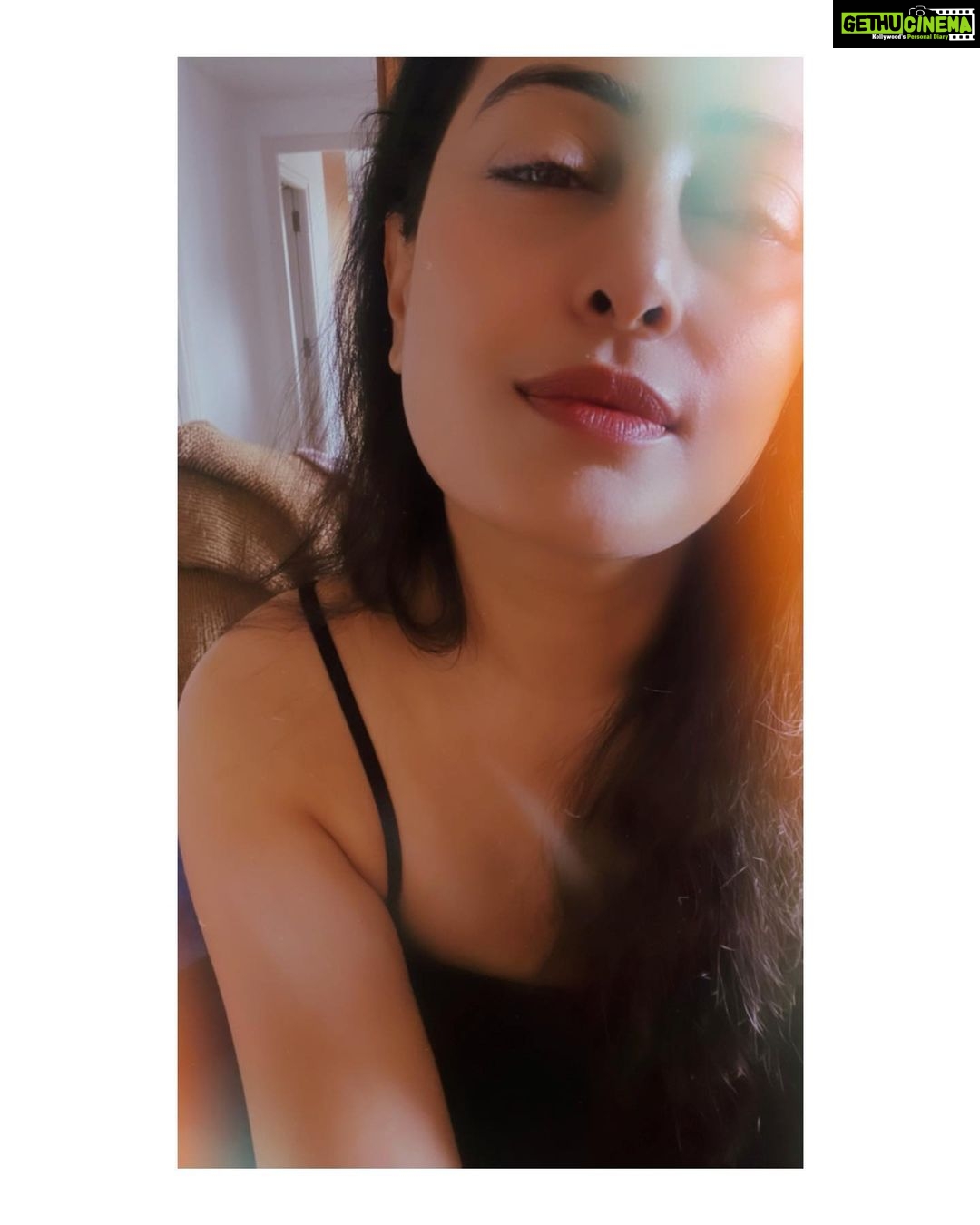 Nidhi Subbaiah Instagram - Limited edition 🥸
