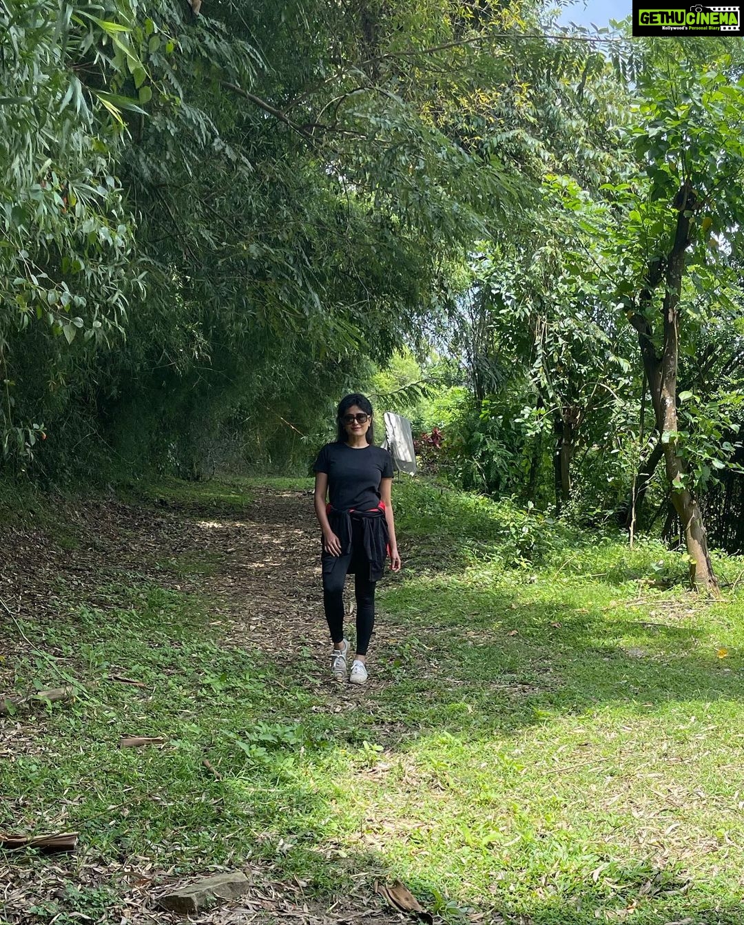 Nidhi Subbaiah Instagram - Nature Girl 💚💚💚 #nofilter Chikmagalur