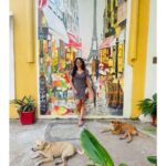 Nidhi Subbaiah Instagram - Colourful walls like these call out to me and say, ‘stop n pose’ 😄💛🌻