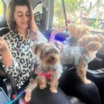Nikki Galrani Instagram - An August Replay ♥️
