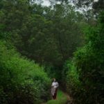 Nimisha Sajayan Instagram - A little slice of paradise on earth.🍃❤️