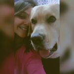Nisha Ravikrishnan Instagram - I would love you over a hundred lifetimes and it wouldn't be enough....happiest birthday my little chotu Motu Bunny 🐾🤌🏻 I love you more ♾️🧿 #irreplaceable #bunny🐾🖤 #charlieforever❤️🕊🐾 #nimmanisharkn 🖤🤍