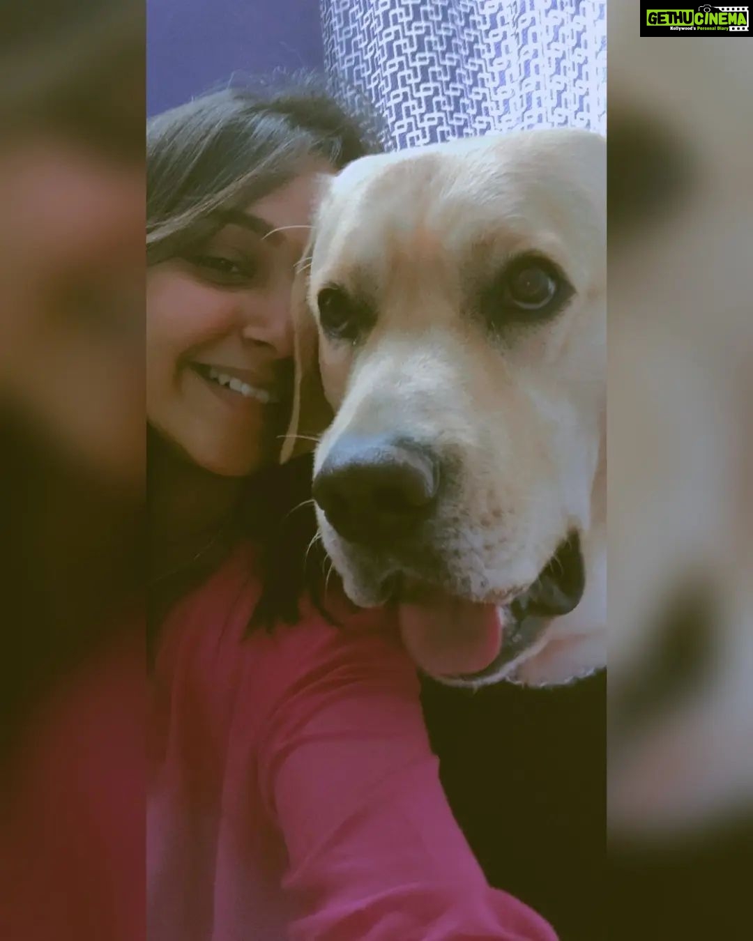 Nisha Ravikrishnan Instagram - I would love you over a hundred lifetimes and it wouldn't be enough....happiest birthday my little chotu Motu Bunny 🐾🤌🏻 I love you more ♾️🧿 #irreplaceable #bunny🐾🖤 #charlieforever❤️🕊🐾 #nimmanisharkn 🖤🤍