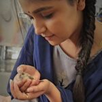 Nisha Ravikrishnan Instagram - Do you remember a small bird which was around us all through our younger days ? Can you able to remember......?!! 🐦 Will our next generation see sparrows? A creature which made our childhood beautiful is surviving badly today ...... Help bring back sweet chirps of the sparrows by stopping pollution and saving them Let us save them to stay in our environment Don't let them fade out Let's save our little friends.Give them the gift of their existence 🌷 🐦♾️ #favbird #birds_illife #gubbimari #20thmarch #worldsparrowday #letussavetheearth #savenature🌱 🌷 #nimmanisharkn 🖤🤍