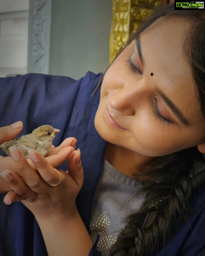 Nisha Ravikrishnan Instagram - Do you remember a small bird which was around us all through our younger days ? Can you able to remember......?!! 🐦 Will our next generation see sparrows? A creature which made our childhood beautiful is surviving badly today ...... Help bring back sweet chirps of the sparrows by stopping pollution and saving them Let us save them to stay in our environment Don't let them fade out Let's save our little friends.Give them the gift of their existence 🌷 🐦♾️ #favbird #birds_illife #gubbimari #20thmarch #worldsparrowday #letussavetheearth #savenature🌱 🌷 #nimmanisharkn 🖤🤍