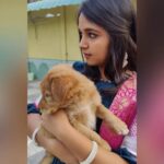Nisha Ravikrishnan Instagram - Today's good mood is sponsered by my brownie fattu puppy 🙈🥰🤌🏻 And yes it's never just a dog .......... Happy evening everyone 🙌 #nimmanisharkn 🖤🤍