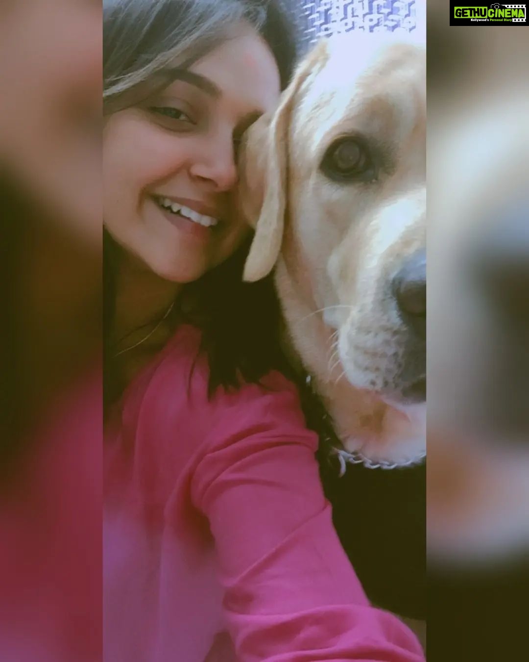 Nisha Ravikrishnan Instagram - I would love you over a hundred lifetimes and it wouldn't be enough....happiest birthday my little chotu Motu Bunny 🐾🤌🏻 I love you more ♾️🧿 #irreplaceable #bunny🐾🖤 #charlieforever❤️🕊🐾 #nimmanisharkn 🖤🤍