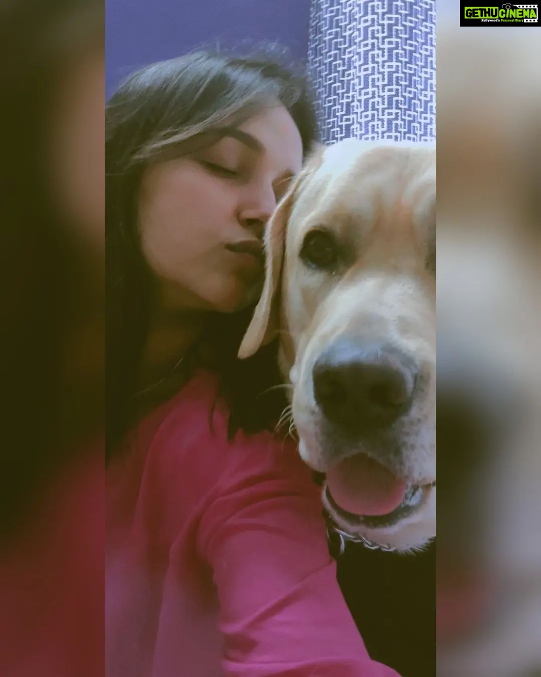 Nisha Ravikrishnan Instagram - I would love you over a hundred lifetimes and it wouldn't be enough....happiest birthday my little chotu Motu Bunny 🐾🤌🏻 I love you more ♾️🧿 #irreplaceable #bunny🐾🖤 #charlieforever❤️🕊🐾 #nimmanisharkn 🖤🤍