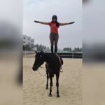 Nishvika Naidu Instagram - Why fit in when you were born to standout , or in this case stand up 🐒 #horsesofinstagram #horseriding Bengaluru