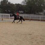 Nishvika Naidu Instagram – Why fit in when you were born to standout , or in this case stand up 🐒

#horsesofinstagram #horseriding Bengaluru