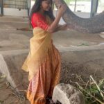 Nishvika Naidu Instagram - Grateful for everything I have ❤️ TTD Thirumala Tirupathi Devasthanam - Thirumala ( Lord Venkateswara )