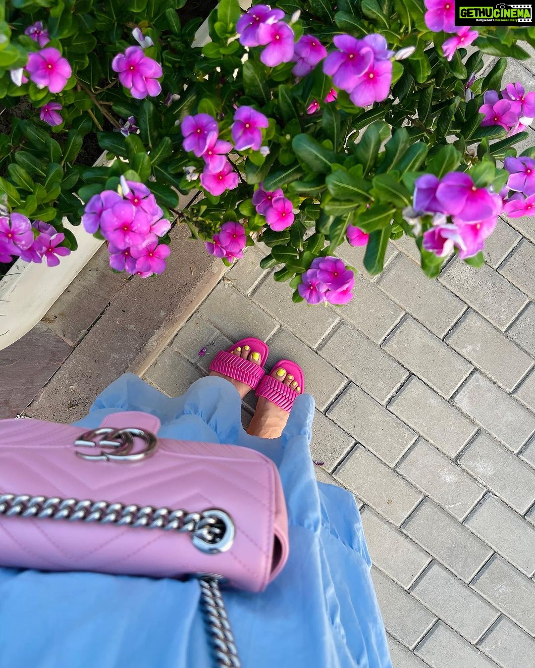Nitibha Kaul Instagram - The last of summer blooms 🌸 Delhi, India