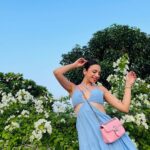 Nitibha Kaul Instagram - The last of summer blooms 🌸 Delhi, India