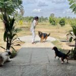 Nivedhithaa Sathish Instagram – Sundays like these with my boys. 😘
My whole heart! 

#FarmLife #Bliss Bangalore, India