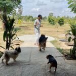 Nivedhithaa Sathish Instagram - Sundays like these with my boys. 😘 My whole heart! #FarmLife #Bliss Bangalore, India