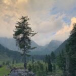 Palak Lalwani Instagram - Will never get enough of this surreal beauty . Until next time 🍂 Kashmir