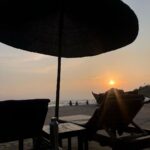Palak Lalwani Instagram - 🤍 💛 The beauty I need every day