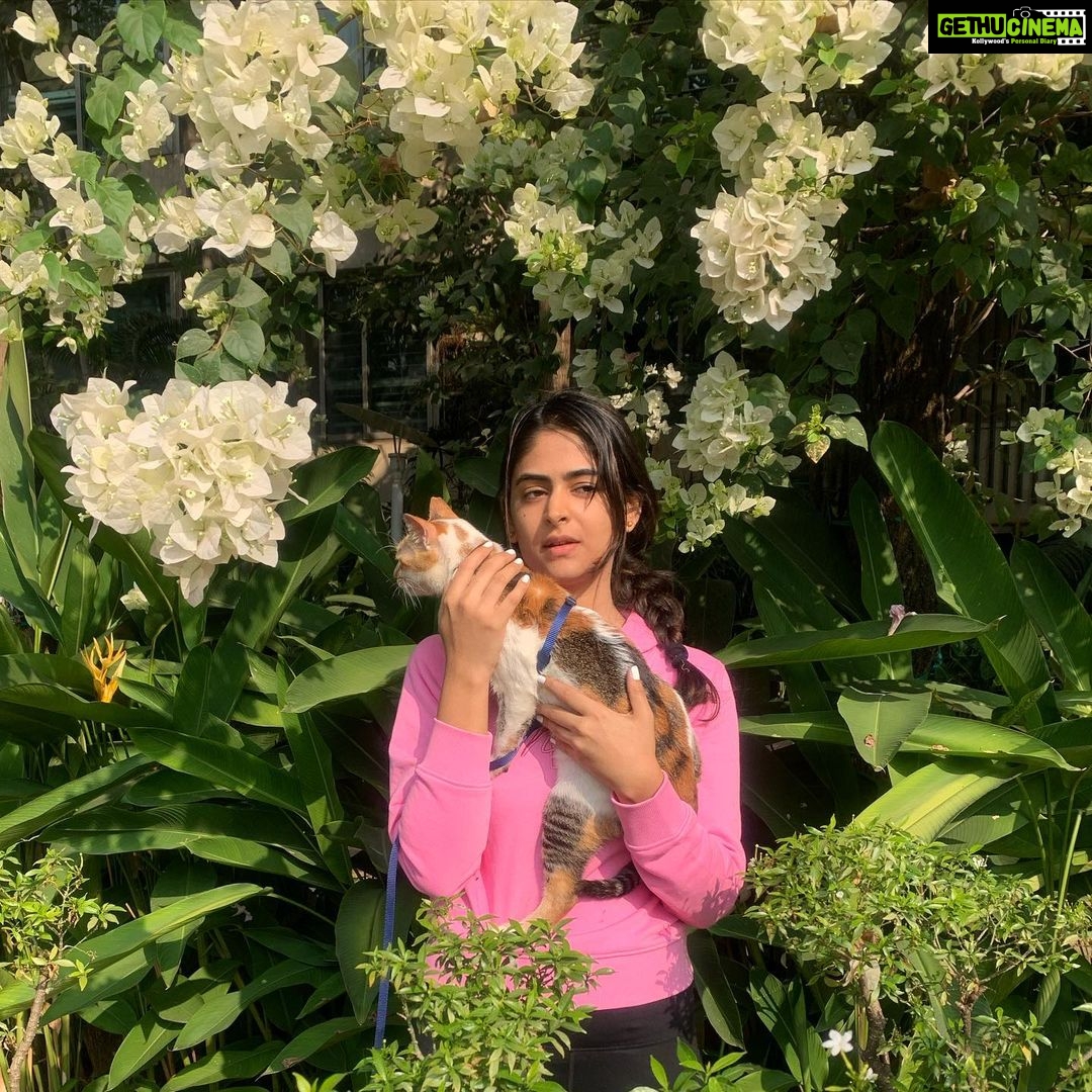 Palak Lalwani - 11.9K Likes - Sookie dearest ✨💫