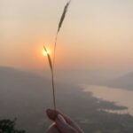 Palak Lalwani Instagram - An ethereal state of mind.🍃