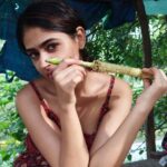 Palak Lalwani Instagram - Random objects inspired aesthetics @akshita.dutt 🐥📸