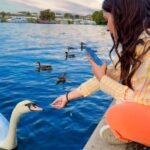 Payal Rajput Instagram - The Queen’s Swans on the Thames in Windsor, Berkshire, England 🏴󠁧󠁢󠁥󠁮󠁧󠁿 #thames #swans #windsor #London #England #traveler #travel #vlogger #blogger #essdee #payalrajput [ Travel, Traveler, Destination, London, England, UK, London diaries, ESSDEE, Payal rajput, Reel, Backpacker, Places to visit in London, River, Lake, Swan, Thames ]