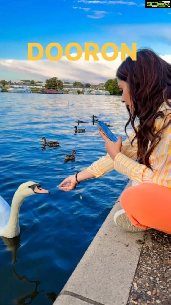 Payal Rajput Instagram - The Queen’s Swans on the Thames in Windsor, Berkshire, England 🏴󠁧󠁢󠁥󠁮󠁧󠁿 #thames #swans #windsor #London #England #traveler #travel #vlogger #blogger #essdee #payalrajput [ Travel, Traveler, Destination, London, England, UK, London diaries, ESSDEE, Payal rajput, Reel, Backpacker, Places to visit in London, River, Lake, Swan, Thames ]