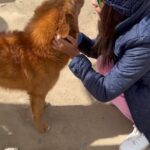 Payal Rajput Instagram – This friendship is Fur real 🐶 🐾 
When all else fails , Hug a dog and see the magic ⭐️