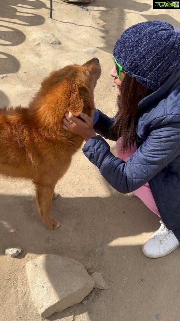 Payal Rajput Instagram - This friendship is Fur real 🐶 🐾 When all else fails , Hug a dog and see the magic ⭐️