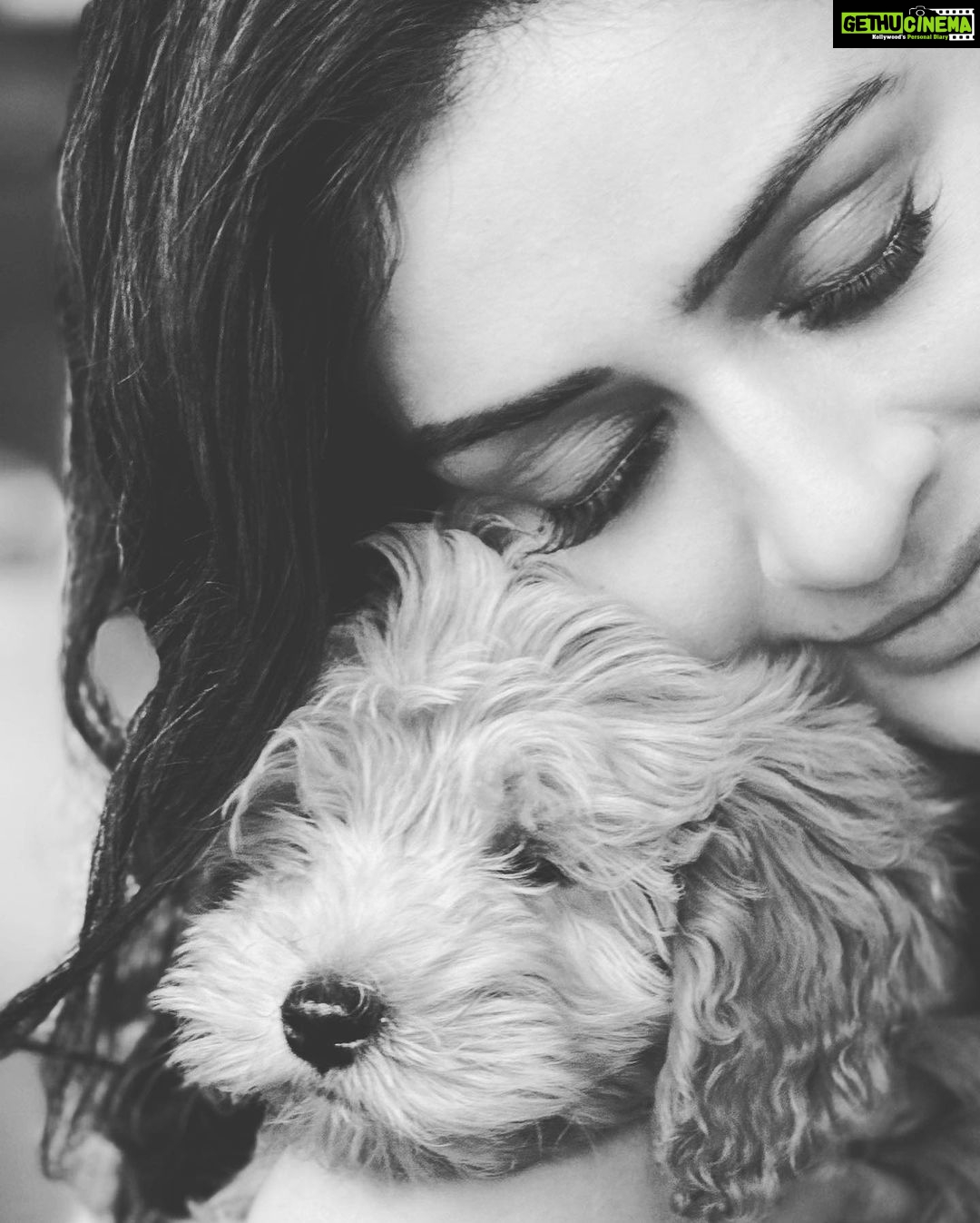 Payal Rajput Instagram - "Double the Fluff, Double the Fun πΆβ Thanks @preetchatha00 for bringing this bundle of joy π€© xx