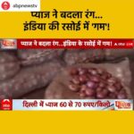 Payal Rohatgi Instagram - I am NOT selling onions anymore 🤣🤣🤣🤣 Its for my kitchen 🤣 #payalrohatgi #yogasehihoga🧘‍♂️ #ladkihoonladsaktihoon Posted @withregram • @abpnewstv WATCH | फिर प्याज के आंसू रोता इंडिया! #PublicInterestOnABP #Onion #OnionPrice #OnionPriceHike #TomatoPrice #PublicInterestReels