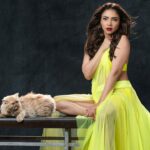 Pooja Banerjee Instagram - Saved this for the last…. Learning a thing a two from 🐈…. Being laid back just like 🐈 🐈 hair styling by the stunning & beautiful @hairbydrishya 🐈 Make-Up by my favourite @sachinmakeupartist1 🐈 crazy styling by @rezachirag 🐈 captured by @subisamuel #PoojaBanerjii #FashionPhotography #FashionPhotoshoot #Poser #fashion