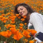 Pooja Batra Instagram - We are all the lucky vacationers enjoying our stay in Hotel Earth - @jayshetty #superbloom #californian #Poppy 📸 @krishnafineart Los Angeles, California