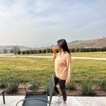 Pooja Batra Instagram - Cadel Moro wine retreat experience 😍🥂🍷 @cadelmorowineretreat @giuseppelamannachef @lacollinadeiciliegi.it @lebike_mtb @erbin.it Ca' del Moro Wine Retreat