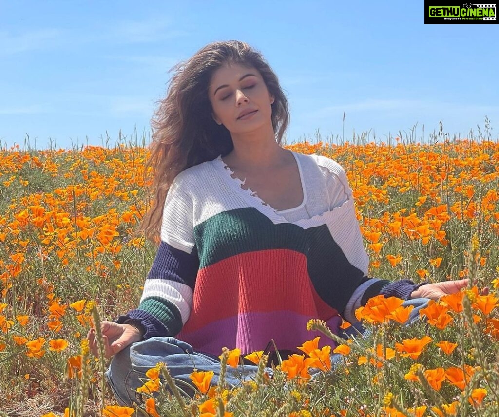 Pooja Batra Instagram - We are all the lucky vacationers enjoying our stay in Hotel Earth - @jayshetty #superbloom #californian #Poppy 📸 @krishnafineart Los Angeles, California