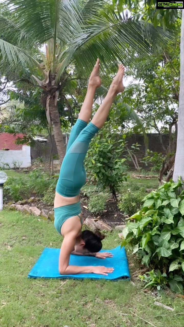 Pooja Batra Instagram - Yoga is applicable by people of every Clime & Time #yogawithpoojabatra 🧘♀️