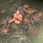 Pooja Batra Instagram - Swimming with the turtles 🐢 #nungwi #village #zanzibar #Tanzania #Africa Thank you @sktoursandsafaris @saffkanji7 @salehakhan10 for this awesome experience 🙏 Zanzibar, Tanzania