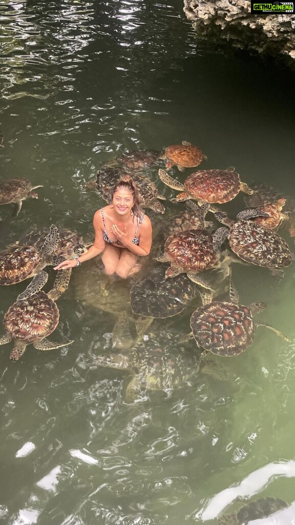 Pooja Batra Instagram - Swimming with the turtles 🐢 #nungwi #village #zanzibar #Tanzania #Africa Thank you @sktoursandsafaris @saffkanji7 @salehakhan10 for this awesome experience 🙏 Zanzibar, Tanzania