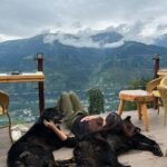 Pooja Chopra Instagram - ‘Paw’fect mornings like these 🏔️😒 #glampeco #Toshi #kuro 🐾 Himachal